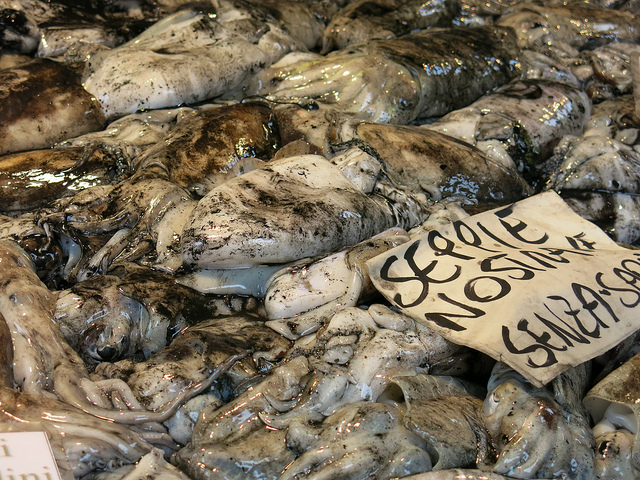 il mercato del pesce di rialto